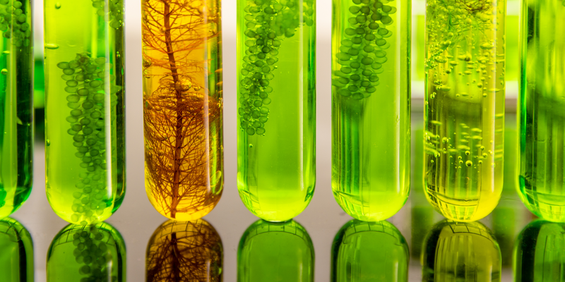 Is Low-Carbon Glass het groene glas?