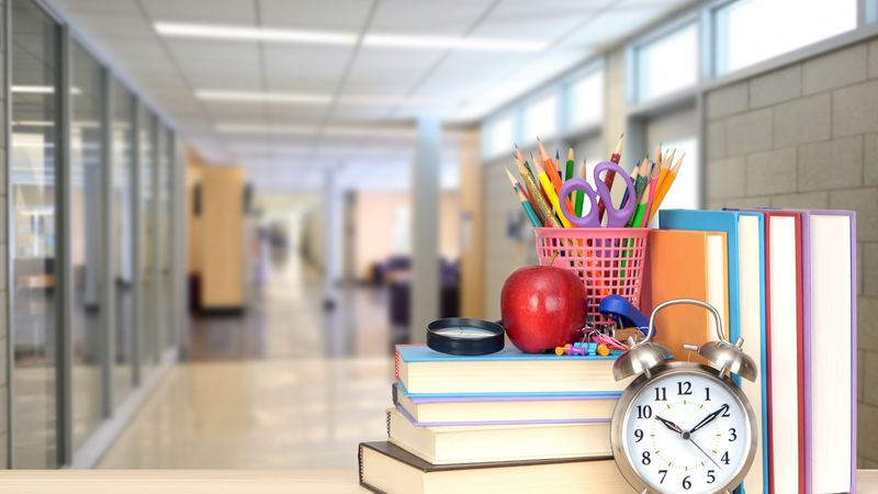 Systeemwanden in het onderwijs: flexibel, akoestisch en onmisbaar