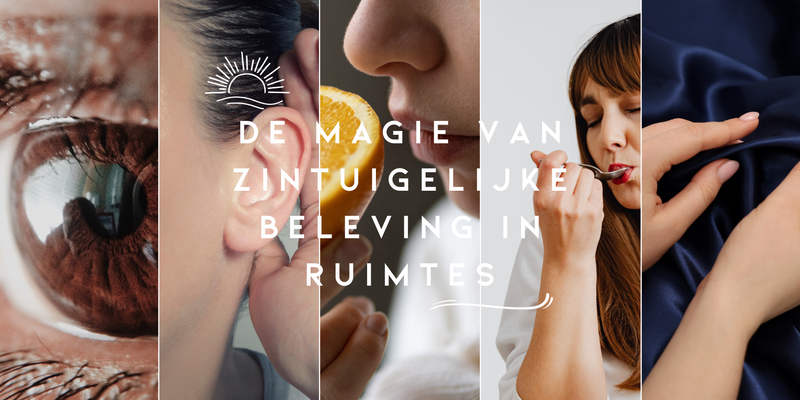 De magie van zintuigelijke beleving in ruimtes